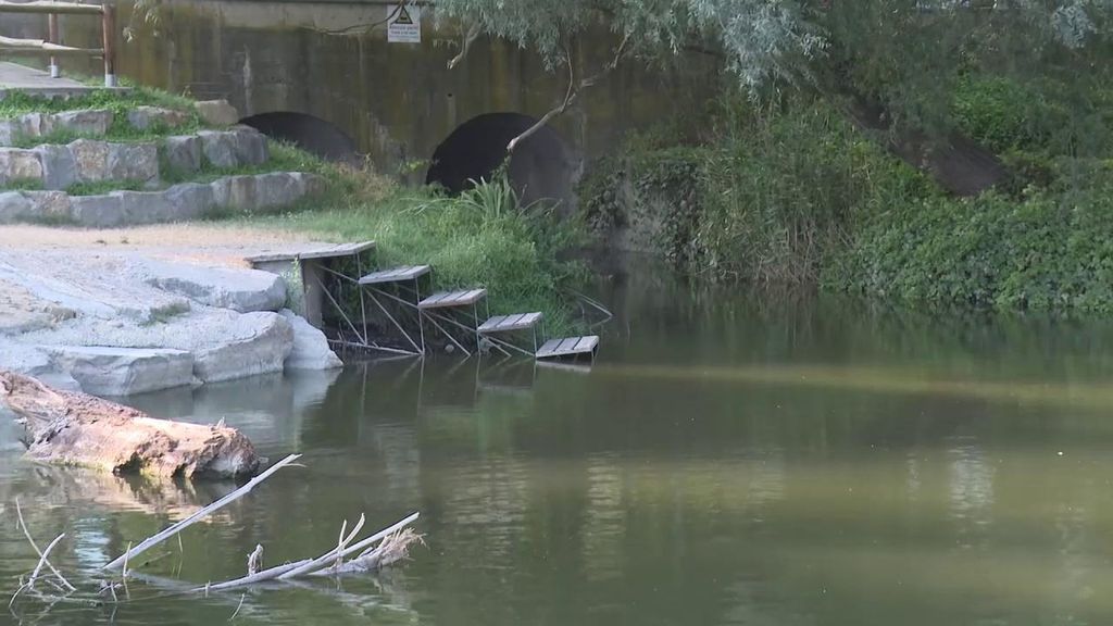 Los gemelos de 11 años hallados muertos en el río Ter en Manlleu salieron a jugar al fútbol y no sabían nadar