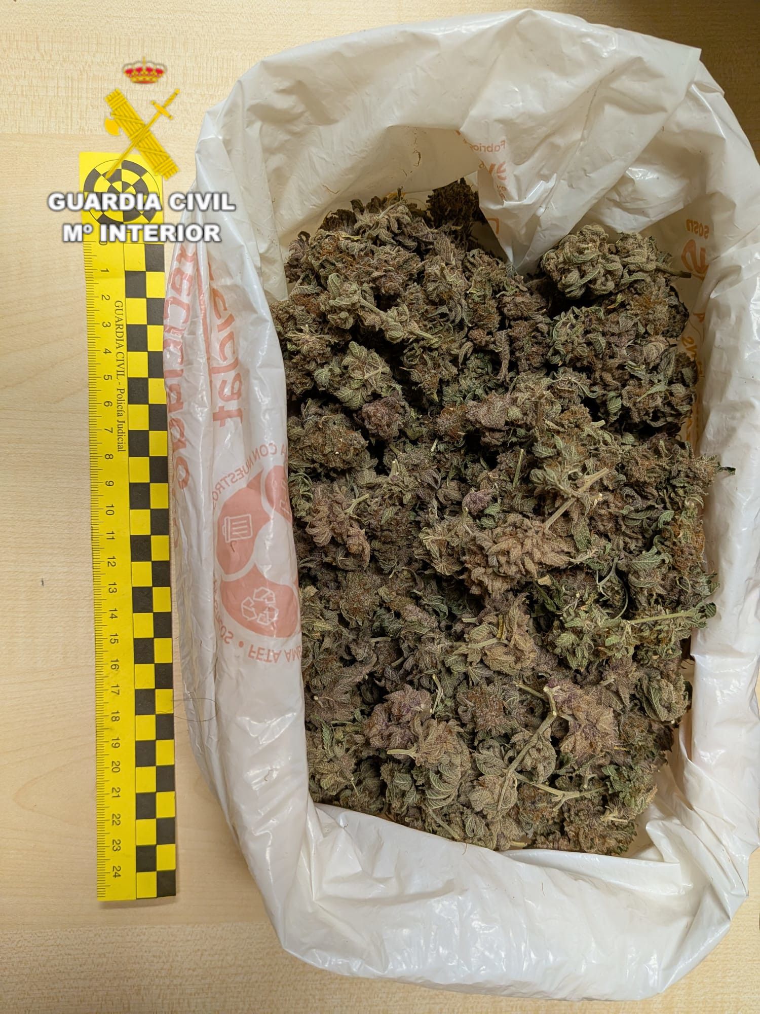 Marihuana intervenida al conductor