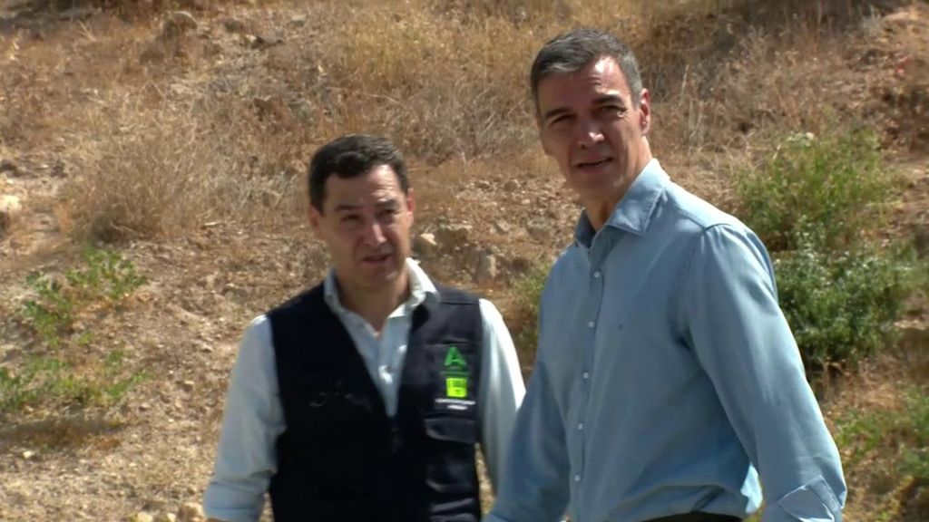 Un pacto de Estado cada vez que hay un incendio que luego queda convertido en cenizas