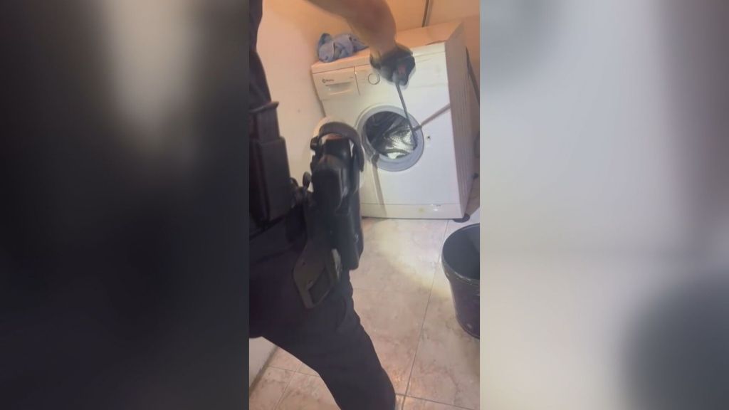 Rescatan a una serpiente que quedó atrapada en una lavadora de una vivienda de Chantada, Lugo