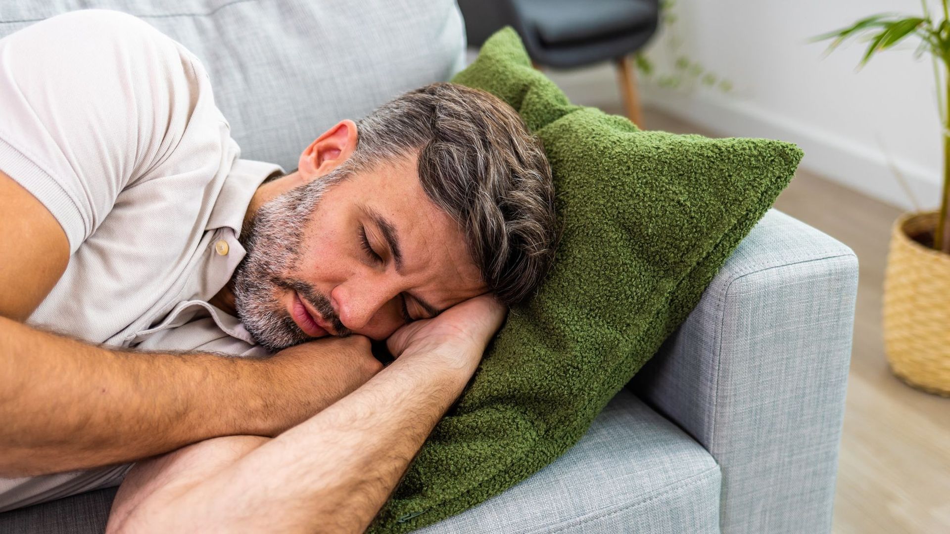 Dormirse en el sofá pero no poder en la cama Dormirse en el sofá pero no poder en la cama