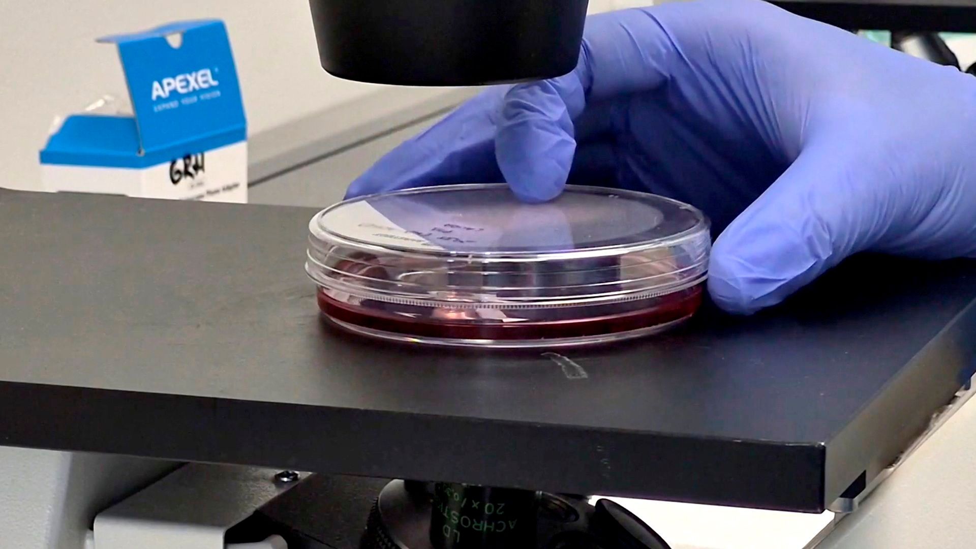 EuropaPress_7657300_pruebas_laboratorio_ebola EuropaPress_7657300_pruebas_laboratorio_ebola