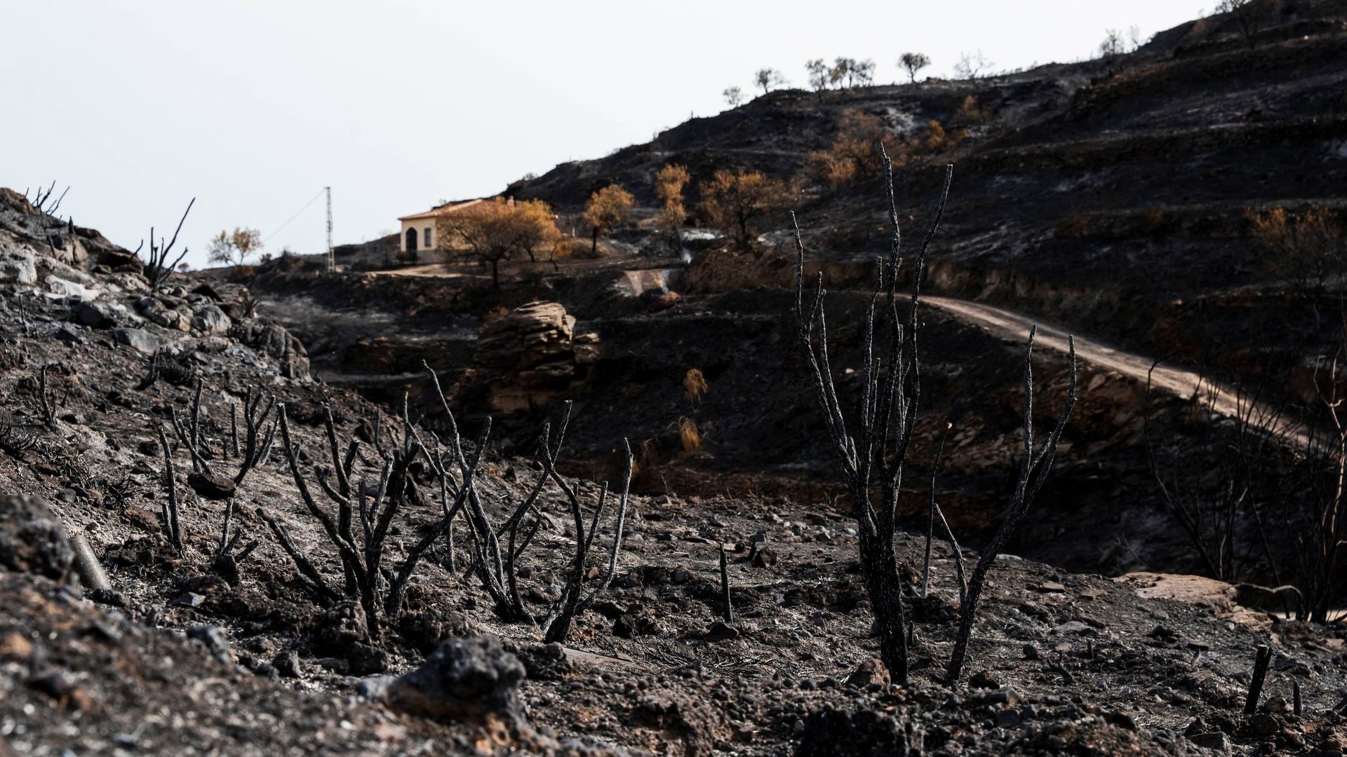 Incendio de Los Gallardos, en Almería Incendio de Los Gallardos, en Almería
