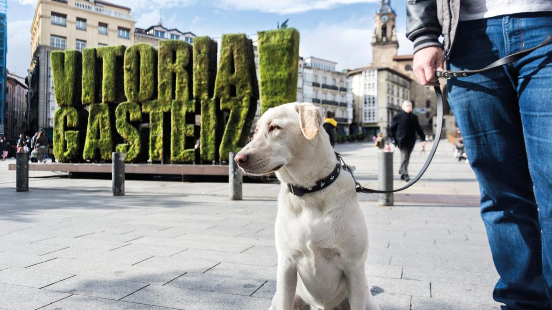 Un perro junto a su dueño en la plaza de la Virgen Blanca de Vitoria Un perro junto a su dueño en la plaza de la Virgen Blanca de Vitoria