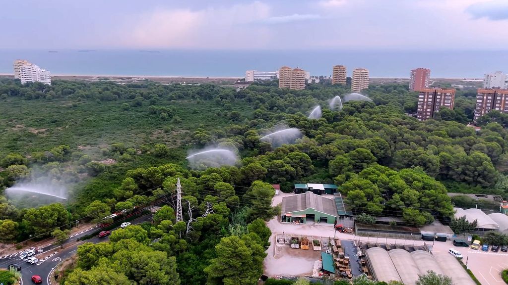 Valencia enciende los cañones de agua de la Devesa de El Saler por el riesgo de incendio