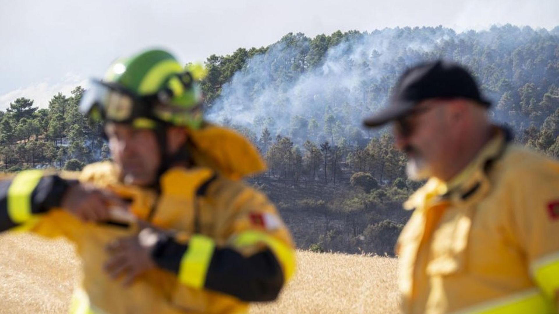 Incendio de La Mierla. Incendio de La Mierla.