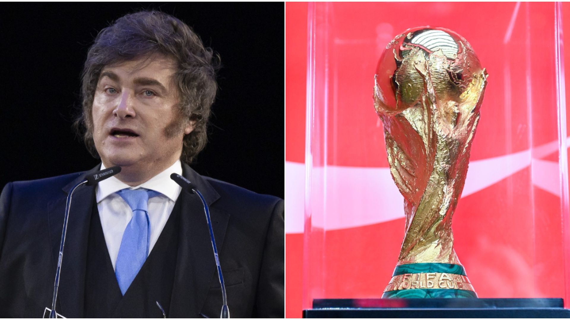 Javier Milei y la Copa del Mundo Javier Milei y la Copa del Mundo