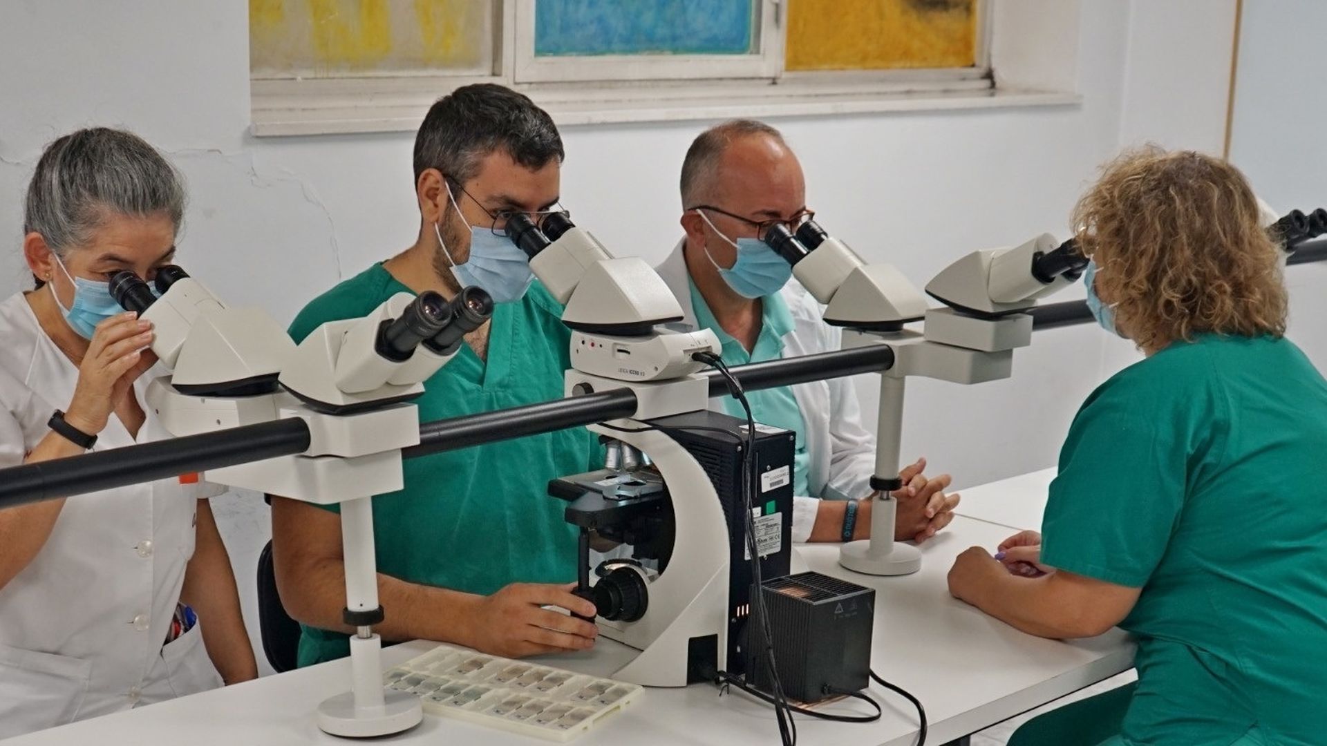 Los efectos de la cocaína persisten en el cerebro dos semanas después de un solo consumo Los efectos de la cocaína persisten en el cerebro dos semanas después de un solo consumo