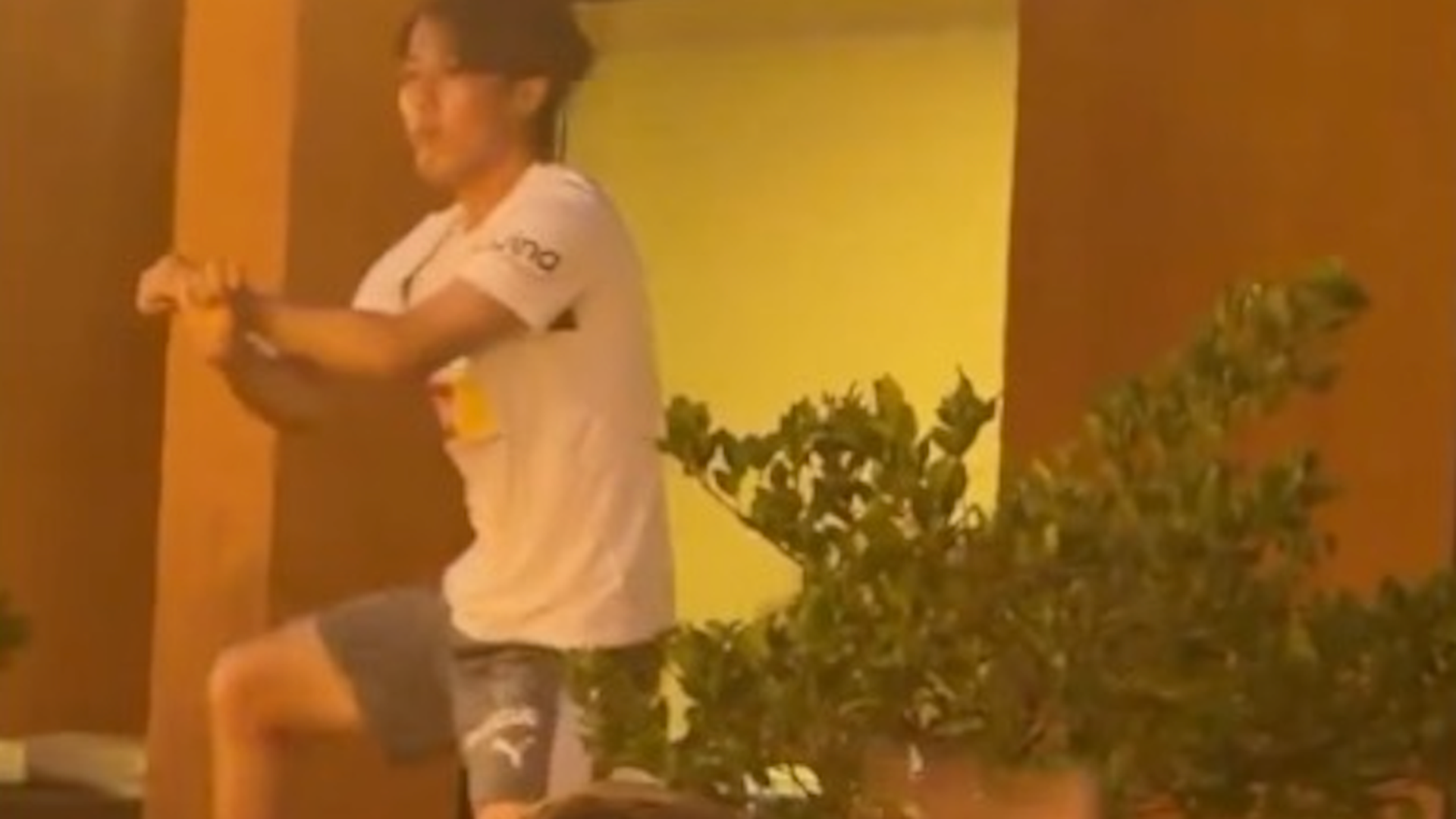 Sato bailando