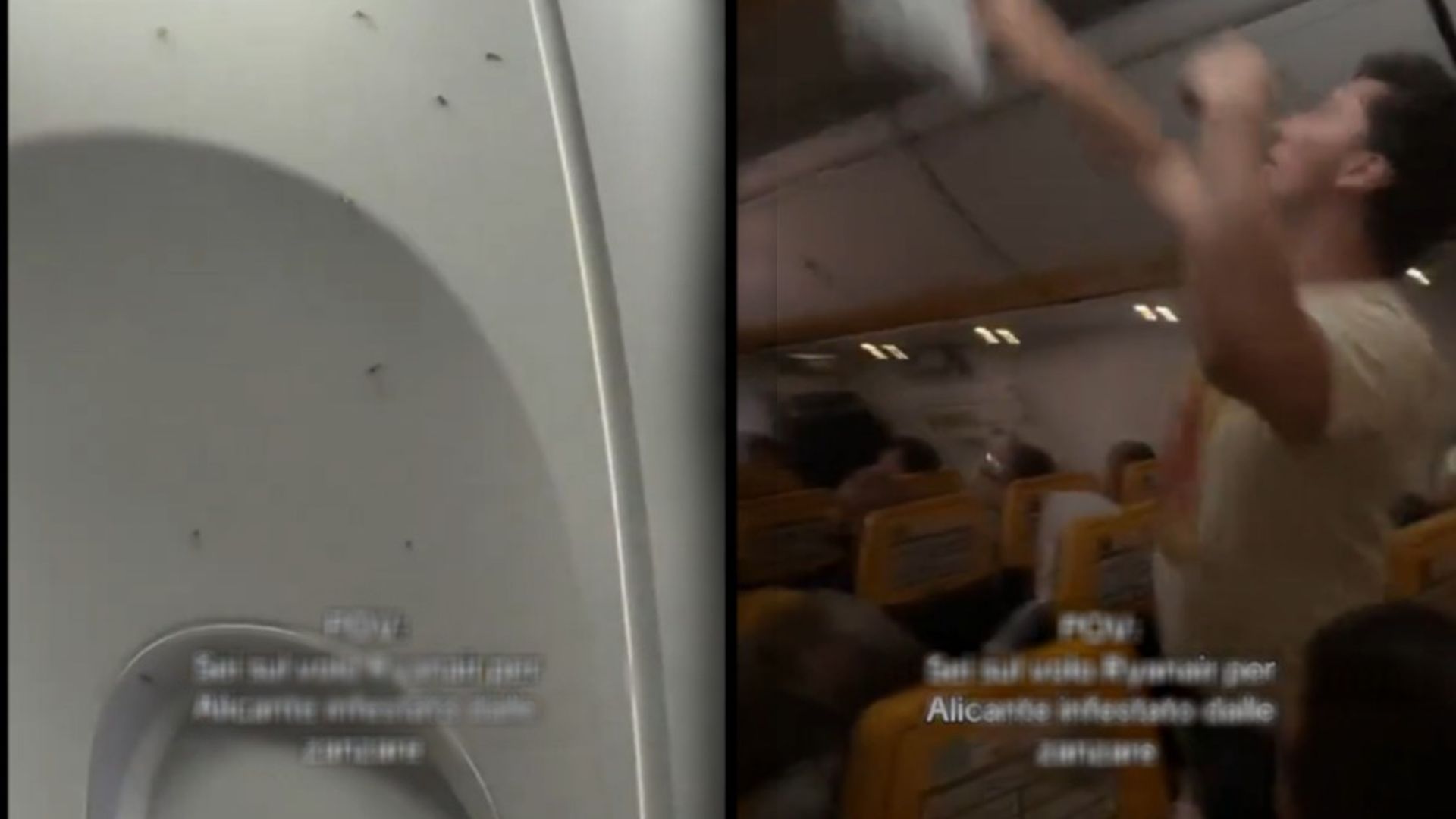 Un enjambre de mosquitos obliga a desembarcar un vuelo de Ryanair Un enjambre de mosquitos obliga a desembarcar un vuelo de Ryanair
