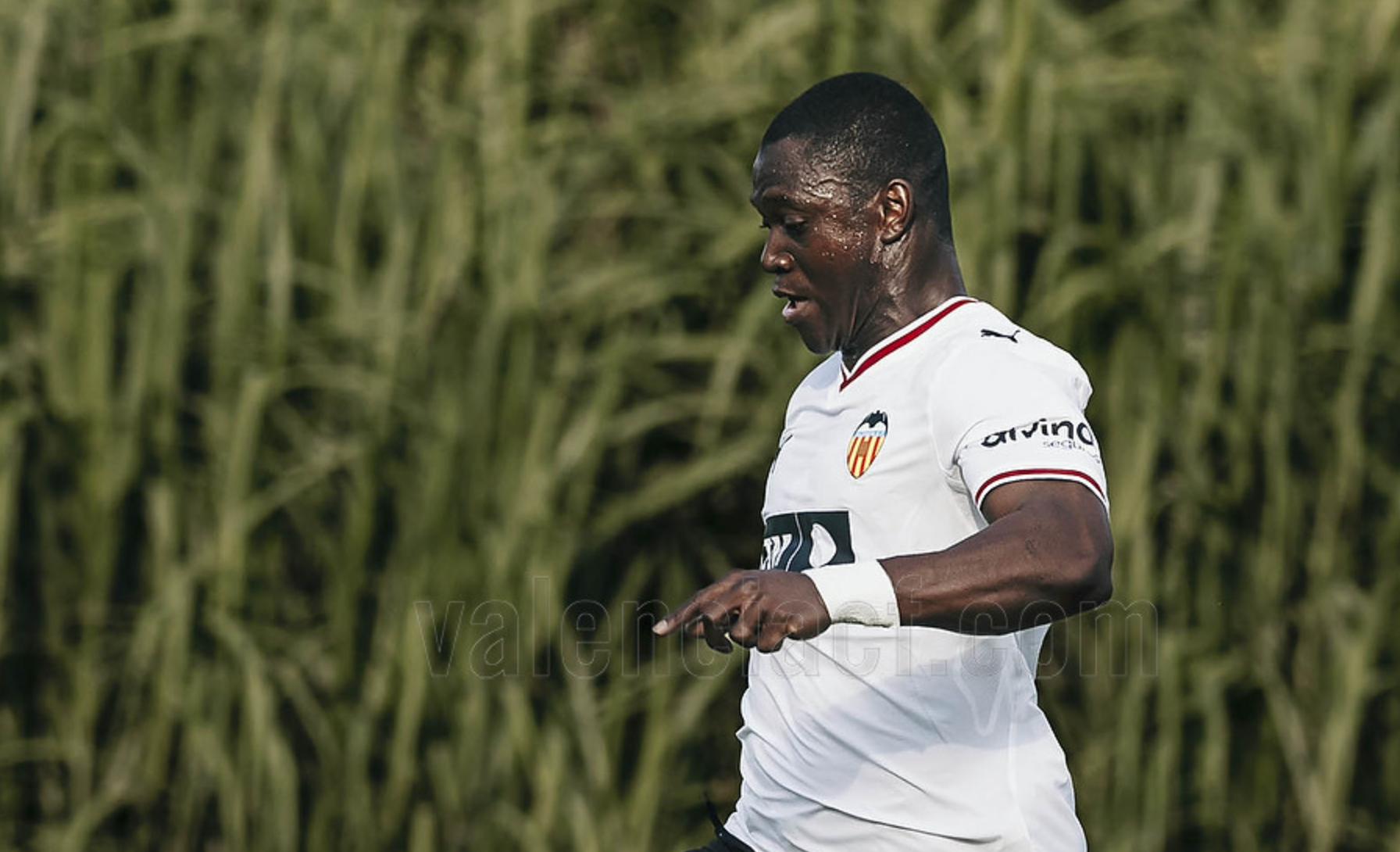 Aliou Dieng