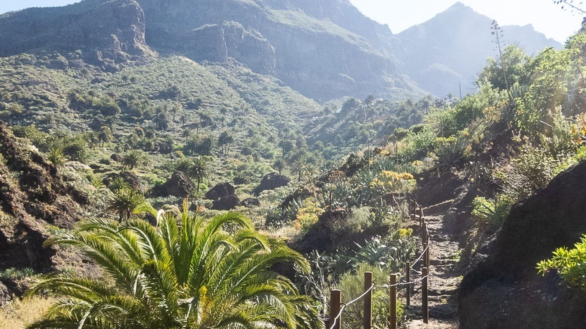 Detienen a un hombre como presunto autor de un incendio en la zona de Masca, Tenerife Detienen a un hombre como presunto autor de un incendio en la zona de Masca, Tenerife