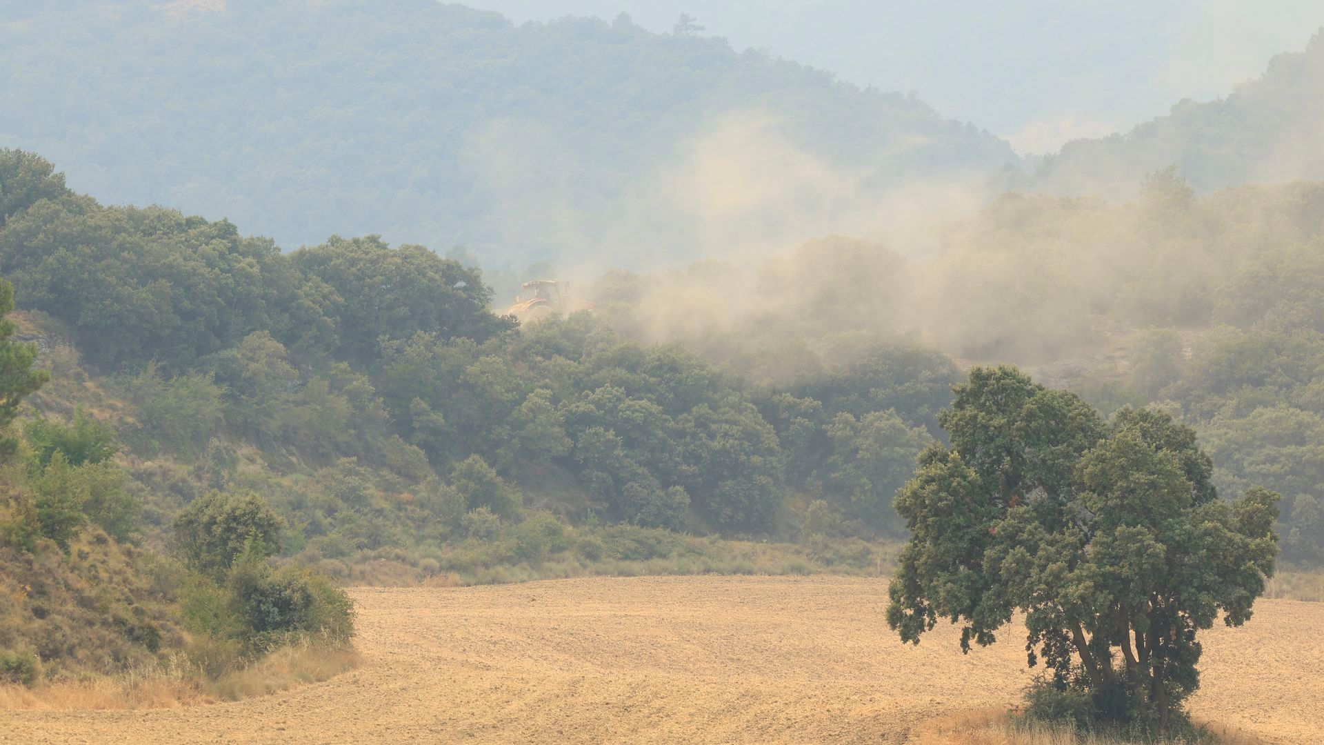 El incendio forestal de Orés, en la comarca de las Cinco Villas (Zaragoza), sigue activo y el número de hectáreas afectadas superan las 15.000. El incendio forestal de Orés, en la comarca de las Cinco Villas (Zaragoza), sigue activo y el número de hectáreas afectadas superan las 15.000.