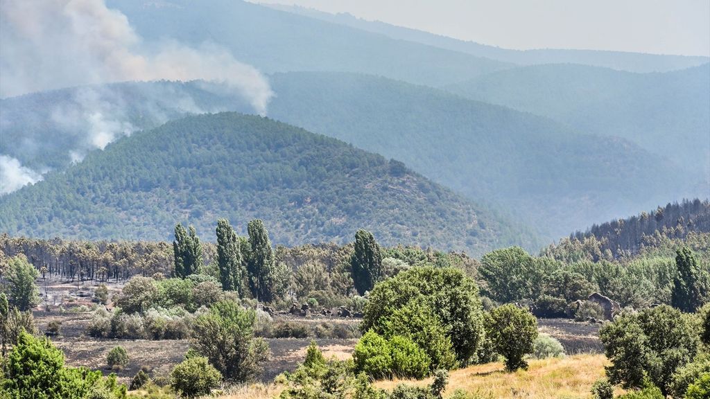 El Parque Natural Sierra Norte, el más damnificado por el incendio de La Mierla, Guadalajara.