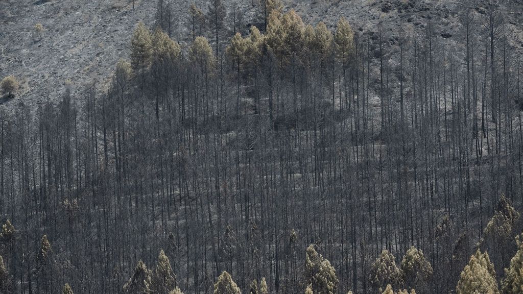 Evacúan tres pueblos más por el incendio de La Mierla, Guadalajara, y se decreta el confinamiento en Hiendelaencina