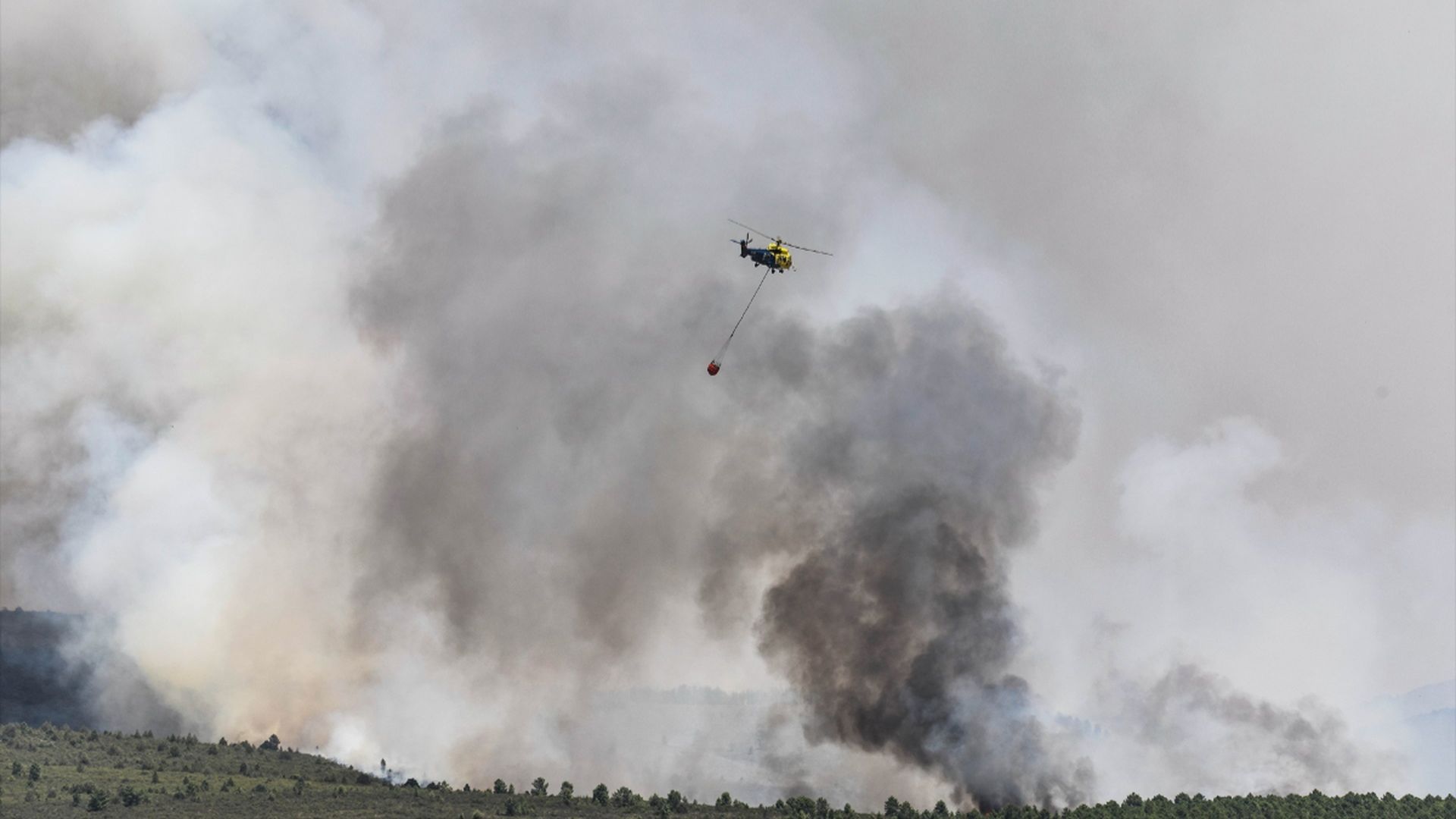 Un alcalde de Vox, sospechoso de haber provocado el fuego de La Mierla, Guadalajara, cuando cosechaba