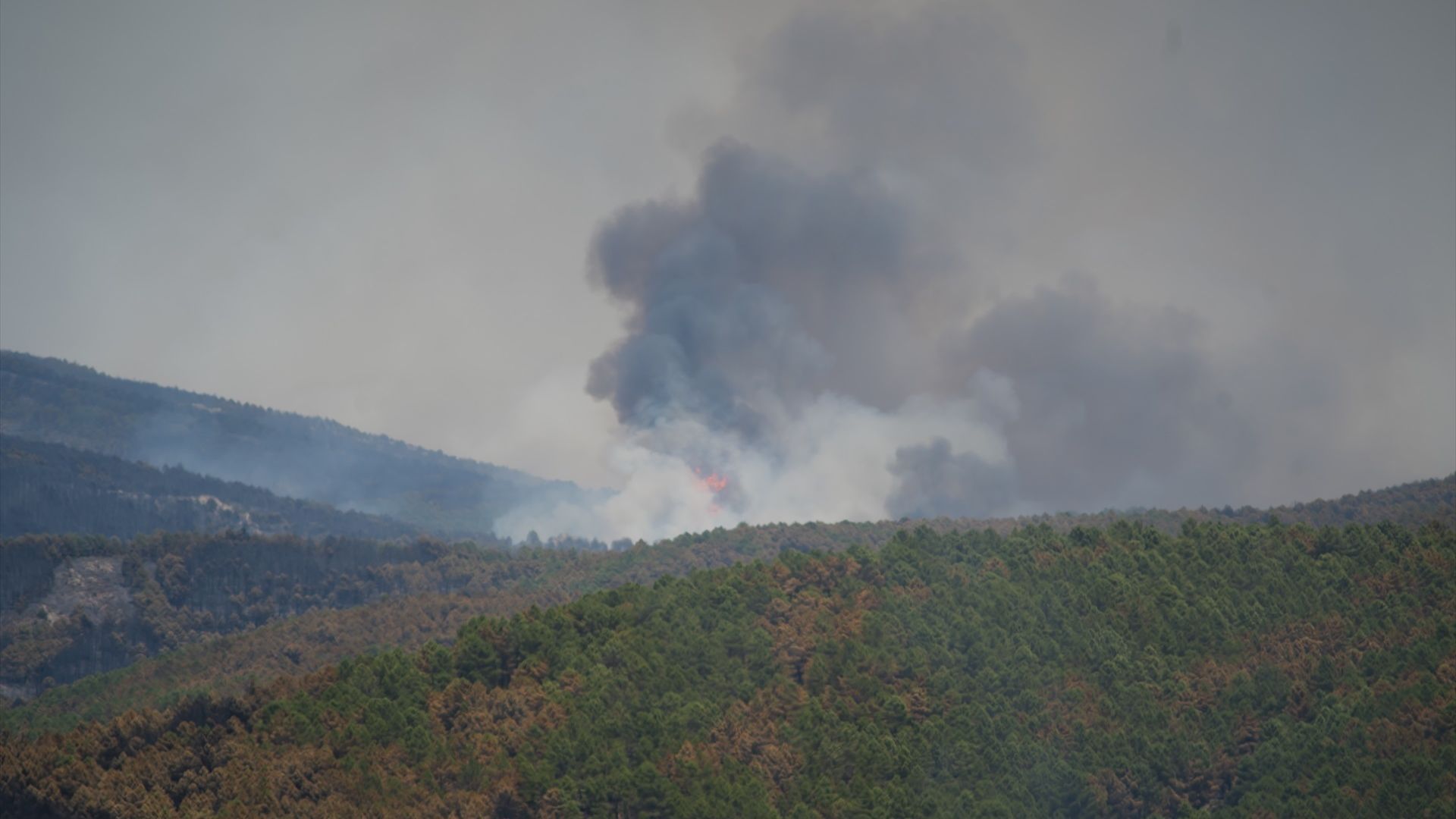 Incendio Mierla Incendio Mierla
