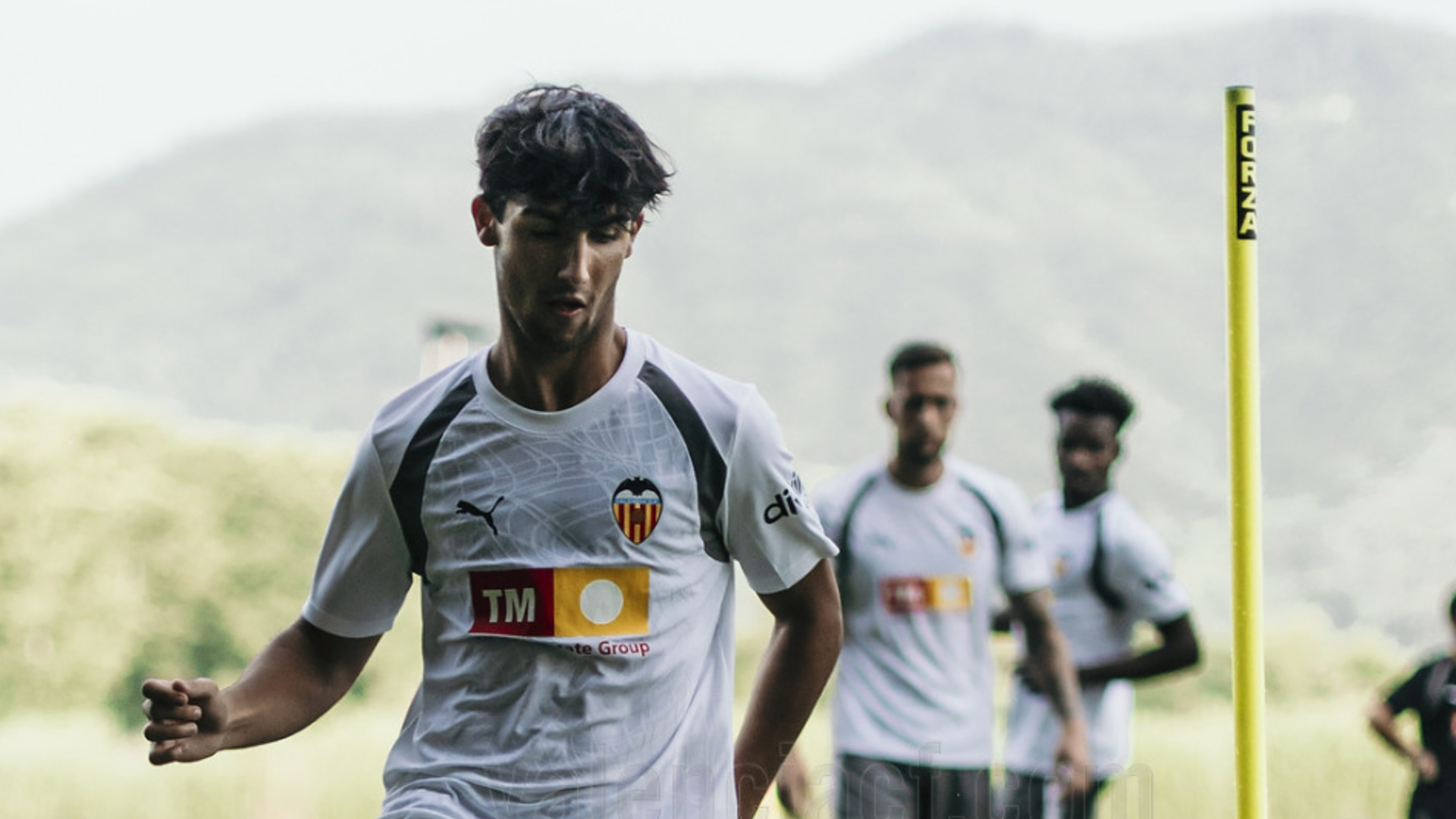 Rodrigo Gamón