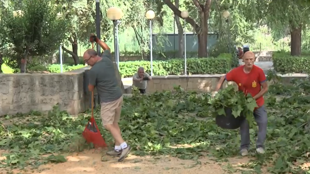 Un reventón térmico provoca graves destrozos en L'Hospitalet: árboles arrancados y fachadas dañadas