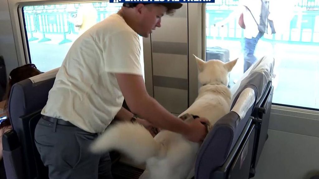 Los perros ya pueden viajar en tren en Renfe como si fueran un pasajero más con una tarifa plana de 40 euros