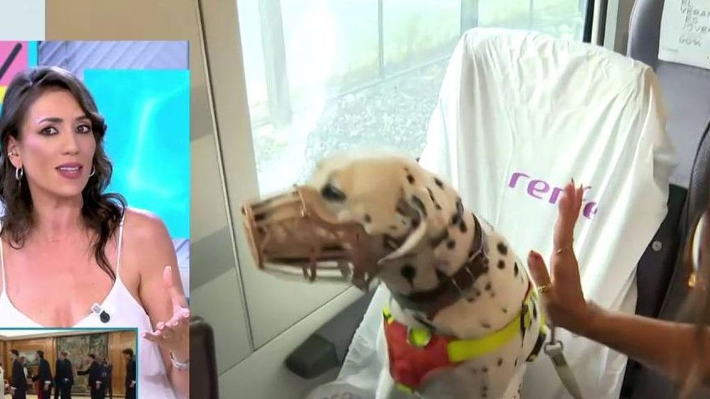 Patricia Pardo se posiciona ante la humanización de los animales: "Alguien debe decir, hasta aquí"