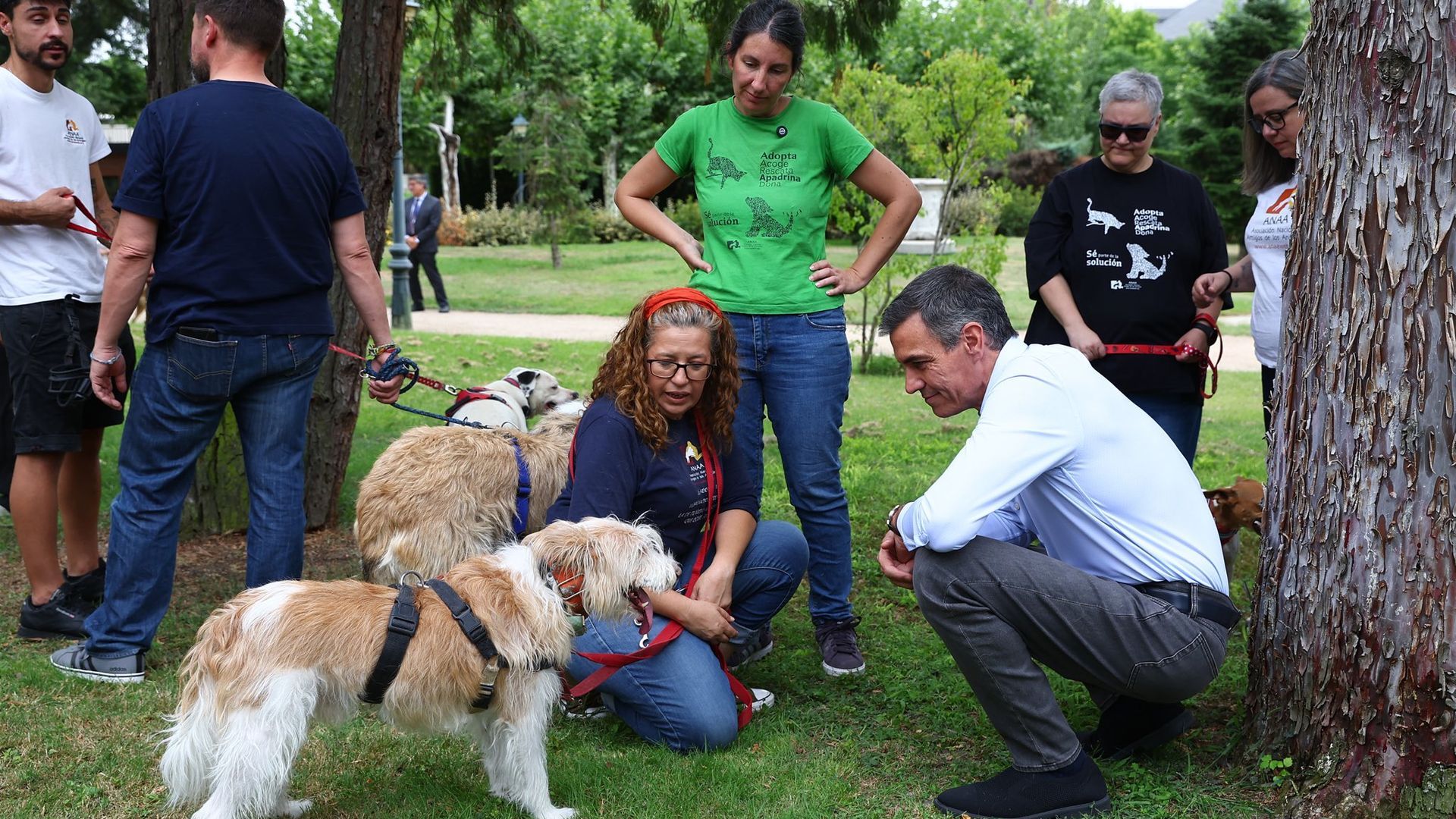 Pedro Sánchez en Moncloa Pedro Sánchez en Moncloa