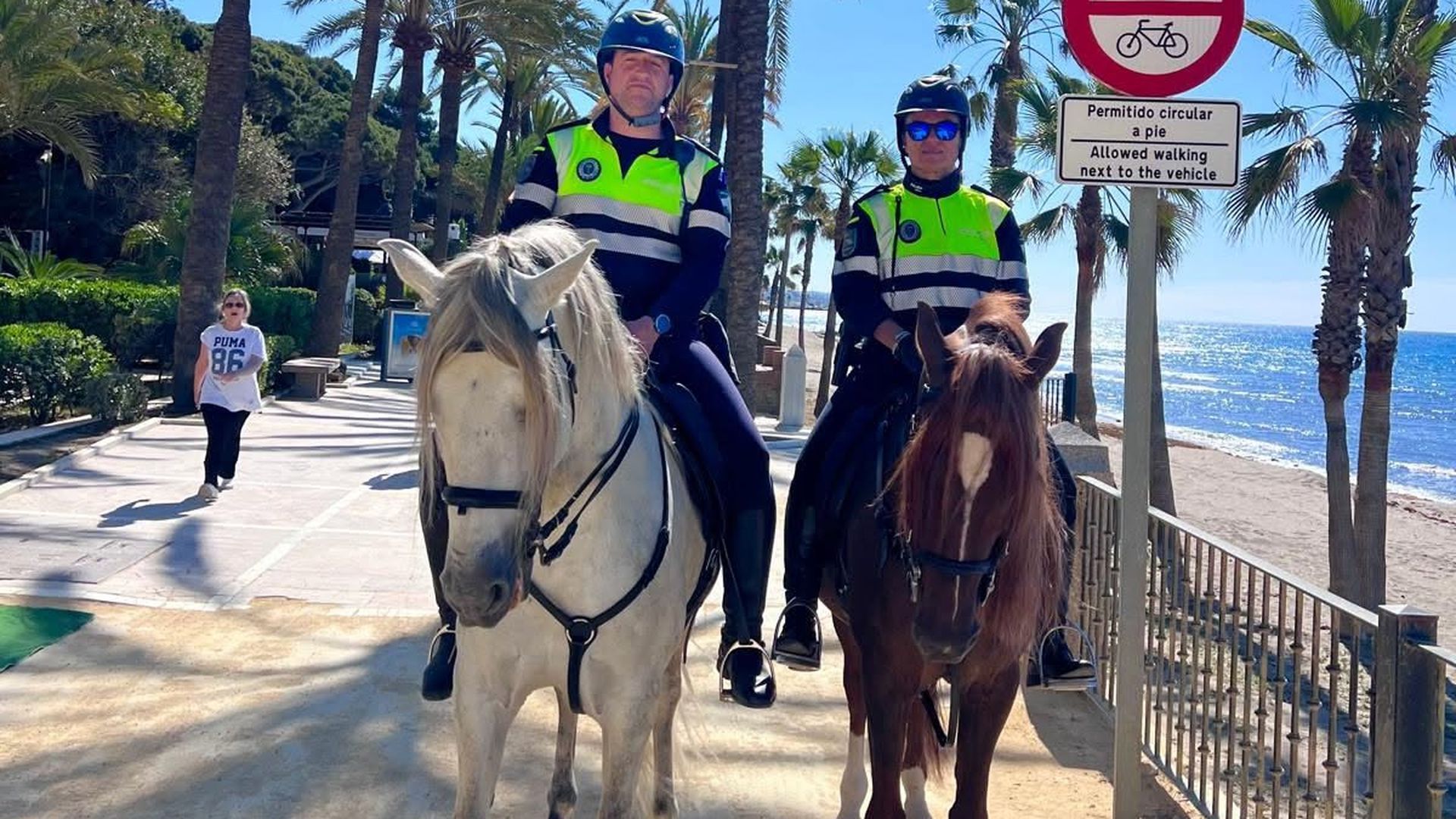 Un crowdfunding para dar un retiro digno a cinco caballos 'jubilados' de la Policía Local que subastan en Marbella Un crowdfunding para dar un retiro digno a cinco caballos 'jubilados' de la Policía Local que subastan en Marbella