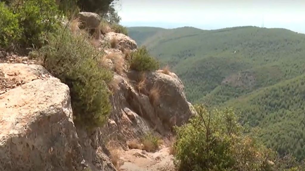 Así funciona la terapia de confrontación, la técnica que habrían usado Jonathan Andic y su padre: una experiencia extrema en el barranco