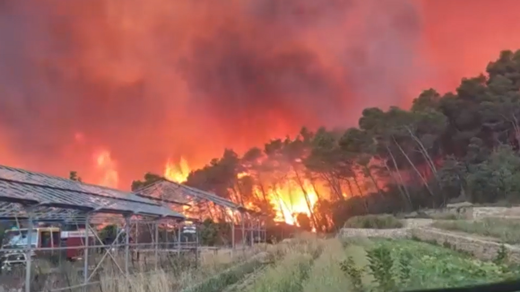 Incendios extremos en el Mediterráneo: seis muertos en Argelia y evacuaciones masivas en Francia e Italia