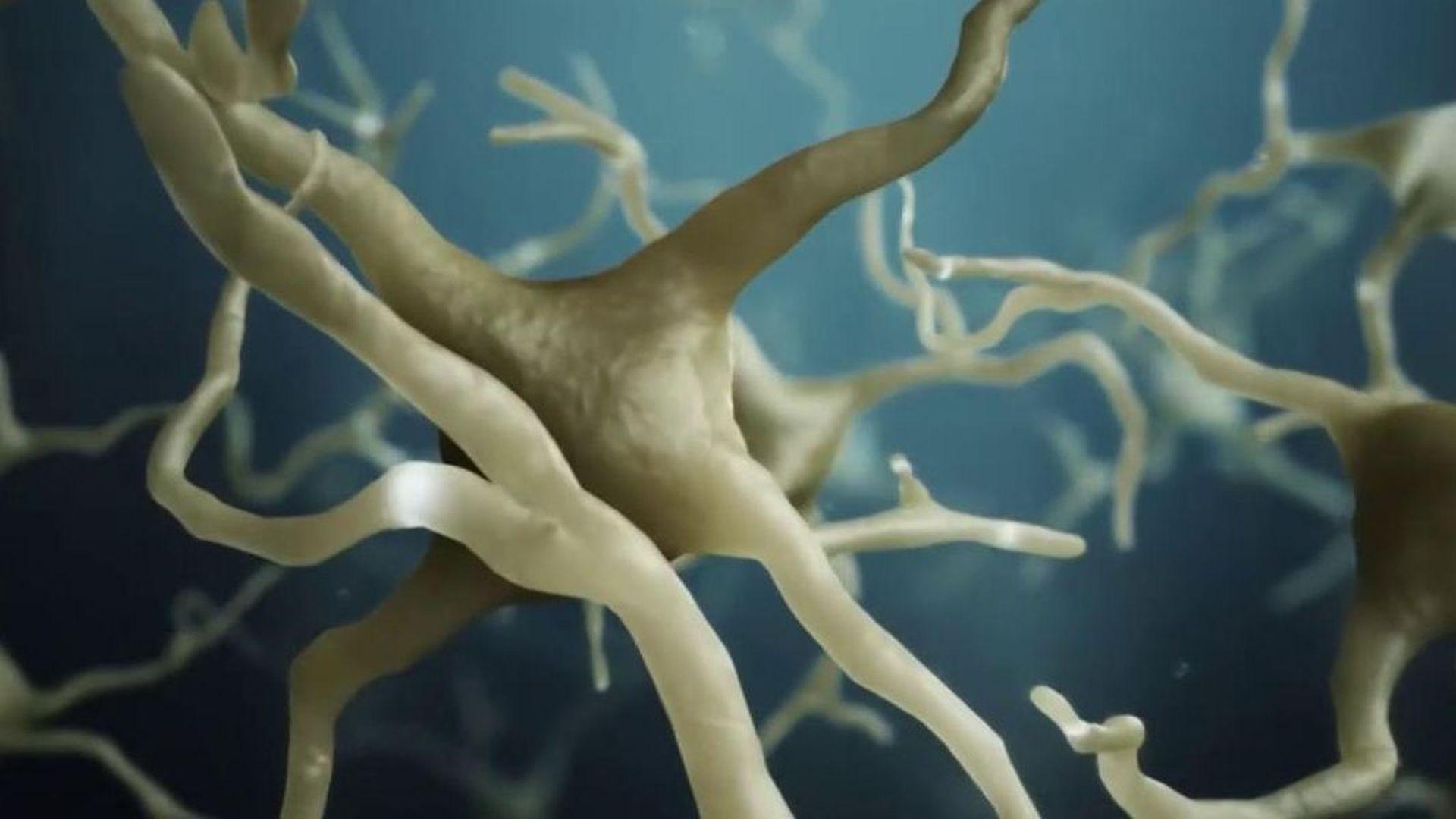 Las olas de calor afectan a nuestro cerebro: "Notarás malestar, pocas ganas de comer y apatía" Las olas de calor afectan a nuestro cerebro: "Notarás malestar, pocas ganas de comer y apatía"