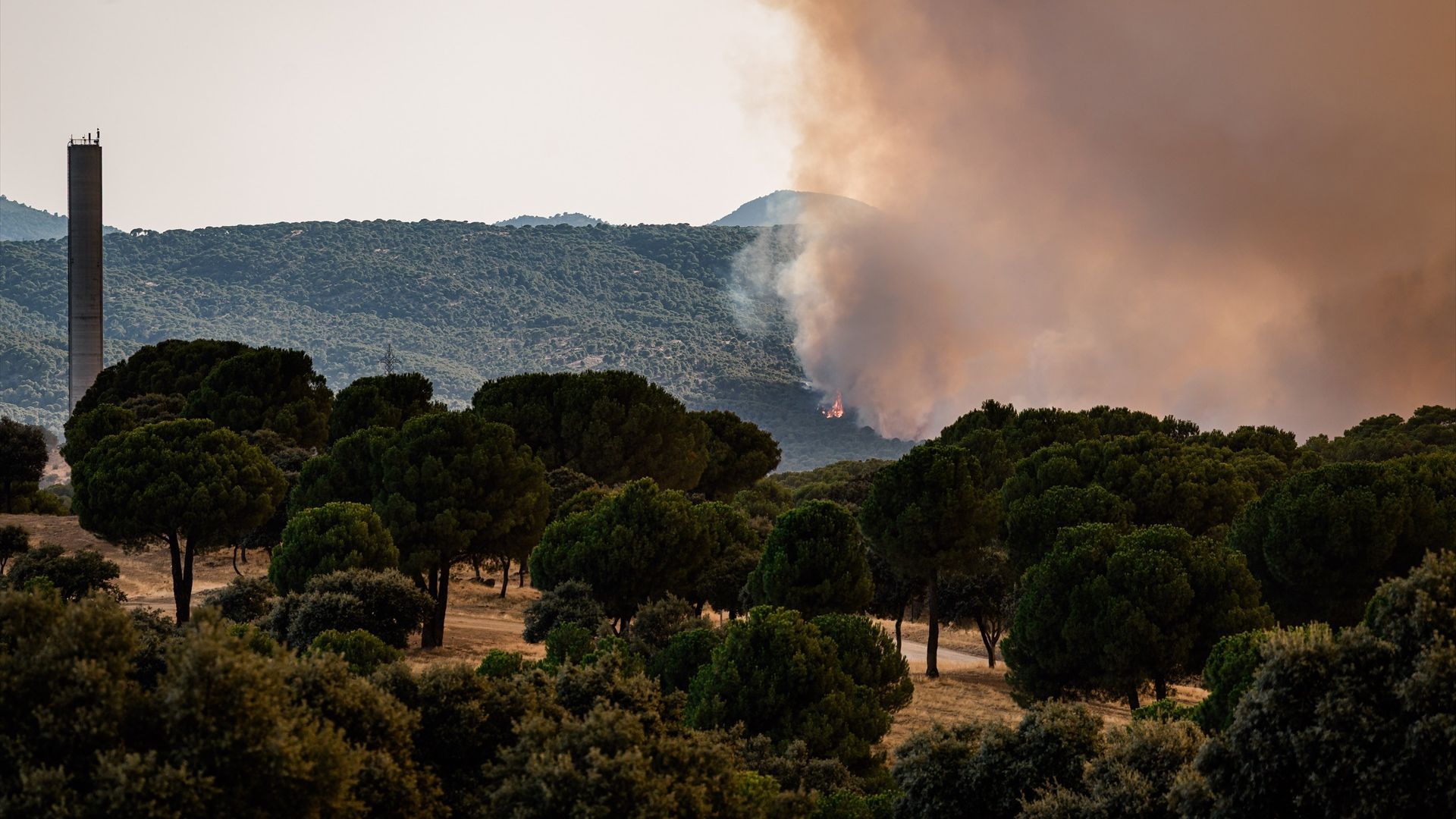 España, el país de la Unión Europea con más superficie forestal quemada: las llamas han calcinado más de 114.000 hectáreas desde el inicio de 2026 España, el país de la Unión Europea con más superficie forestal quemada: las llamas han calcinado más de 114.000 hectáreas desde el inicio de 2026