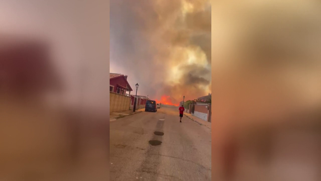 Gritos de desesperación y miedo por “la virulencia” del incendio de Ávila: “¡Papá, que está mamá dentro!”