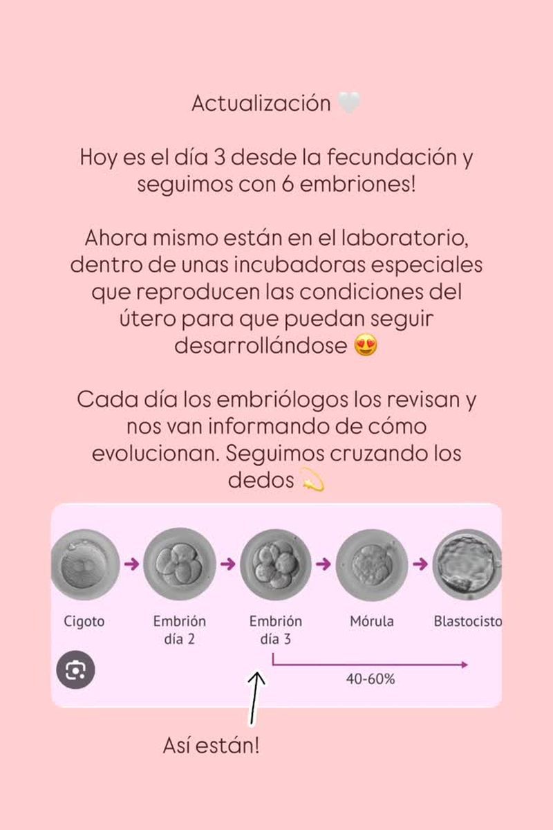 Las explicaciones de Adara Molinero sobre cómo evoluciona su fecundación in vitro