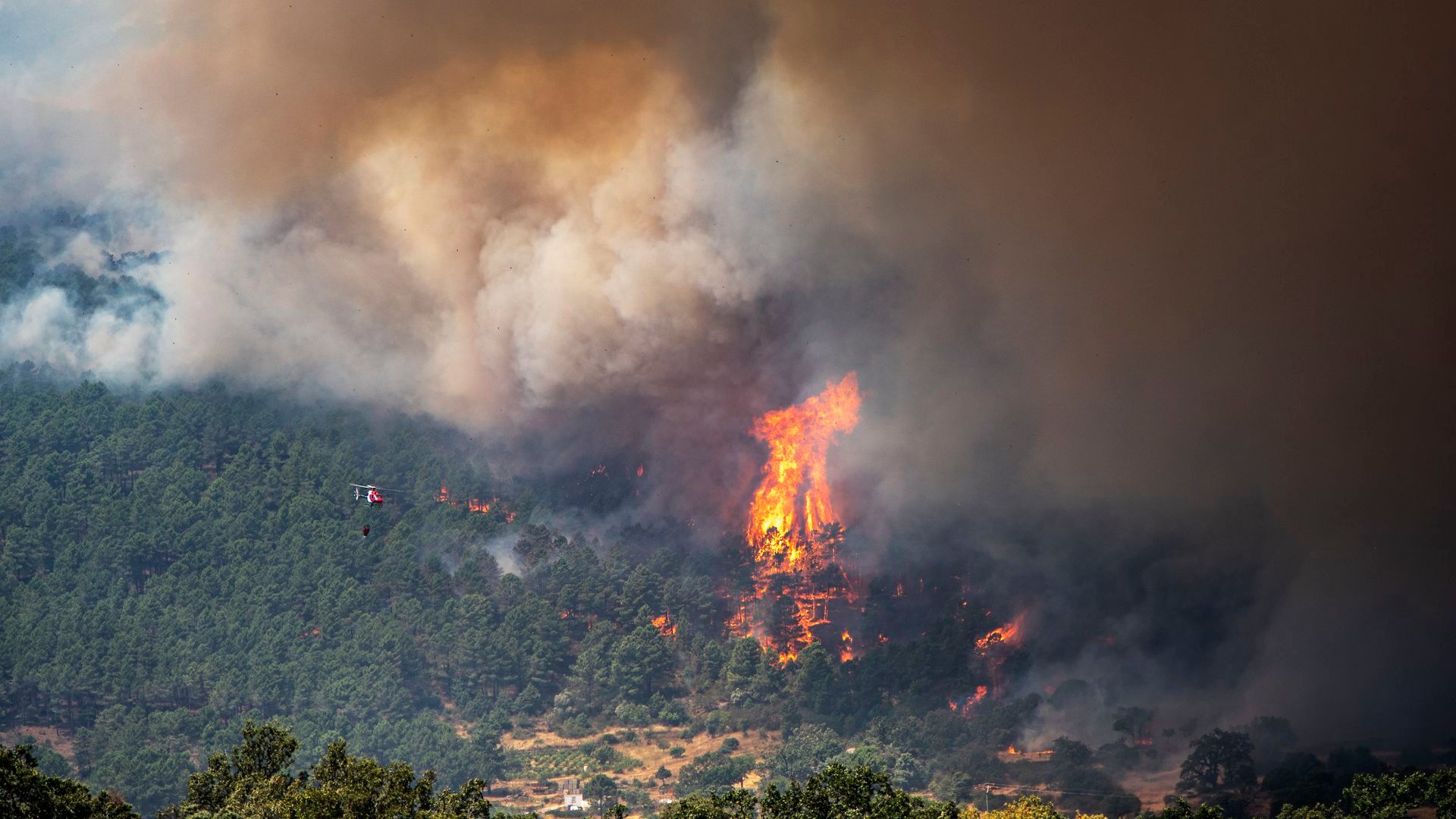 El fuego de Ávila obliga a evacuar otros siete pueblos El fuego de Ávila obliga a evacuar otros siete pueblos