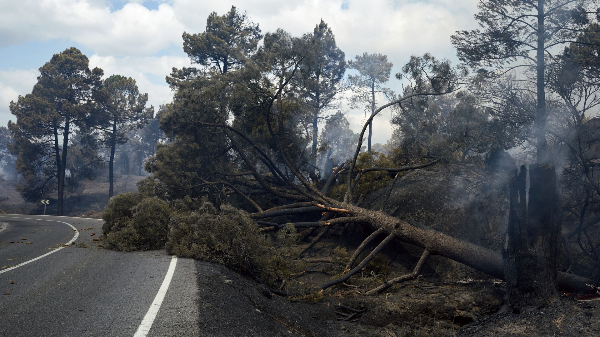 Castilla y León se personará como acusación contra el causante del incendio de Burgohondo por imprudencia Castilla y León se personará como acusación contra el causante del incendio de Burgohondo por imprudencia