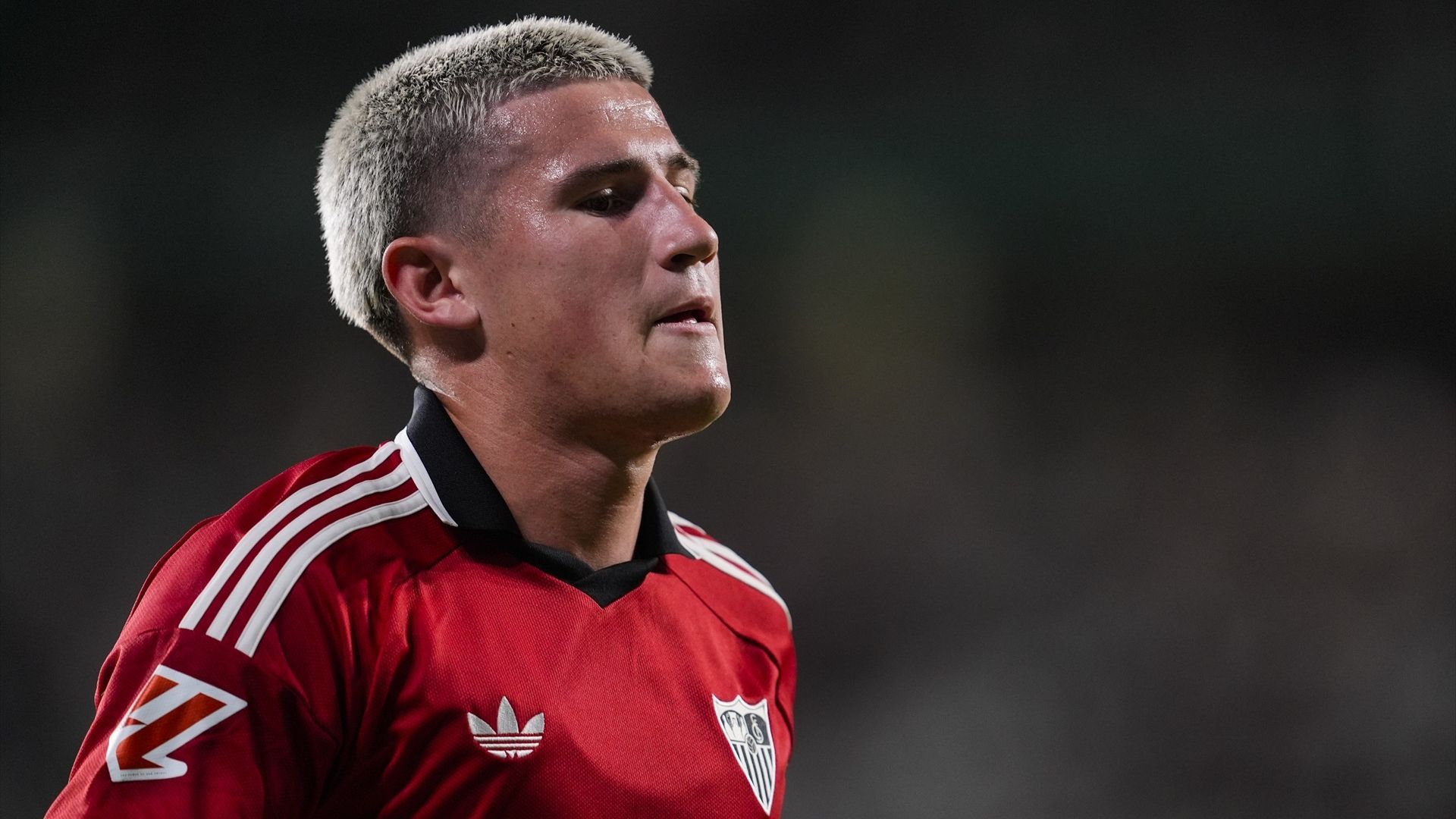 Oso, en el Córdoba-Sevilla Oso, en el Córdoba-Sevilla