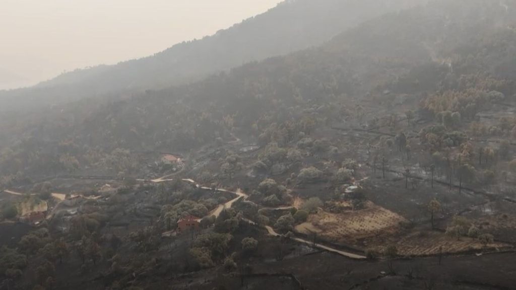 Ávila, 160 kilómetros de fuego en el peor incendio de la historia de España: "Se ha quemado todo"