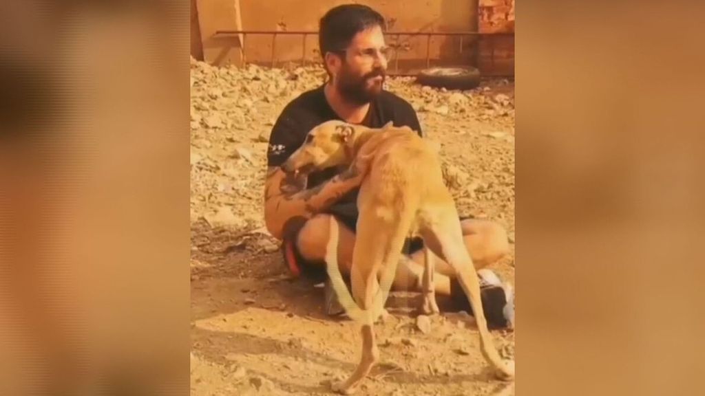 Rescatan perros, caballos y ganado atrapados por el incendio de la Vall d´Uxió: "Los animales también necesitan una oportunidad"