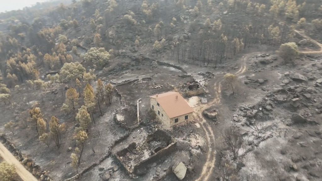 Las imágenes aéreas de un dron muestran la magnitud de los incendios: más de 77.000 hectáreas reducidas a cenizas