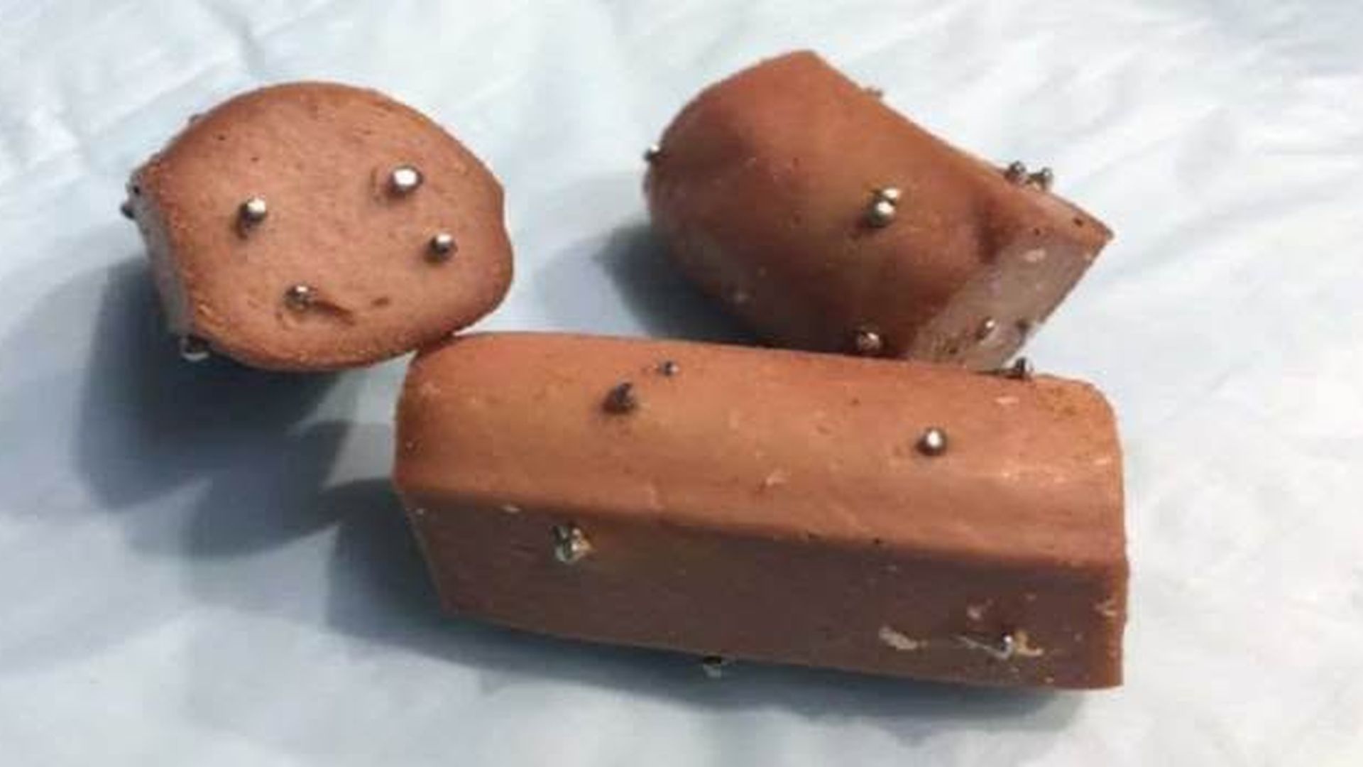 Precintan el Parque de la Rosaleda en Sevilla tras aparecer salchichas rellenas con clavos: un perro herido grave Precintan el Parque de la Rosaleda en Sevilla tras aparecer salchichas rellenas con clavos: un perro herido grave