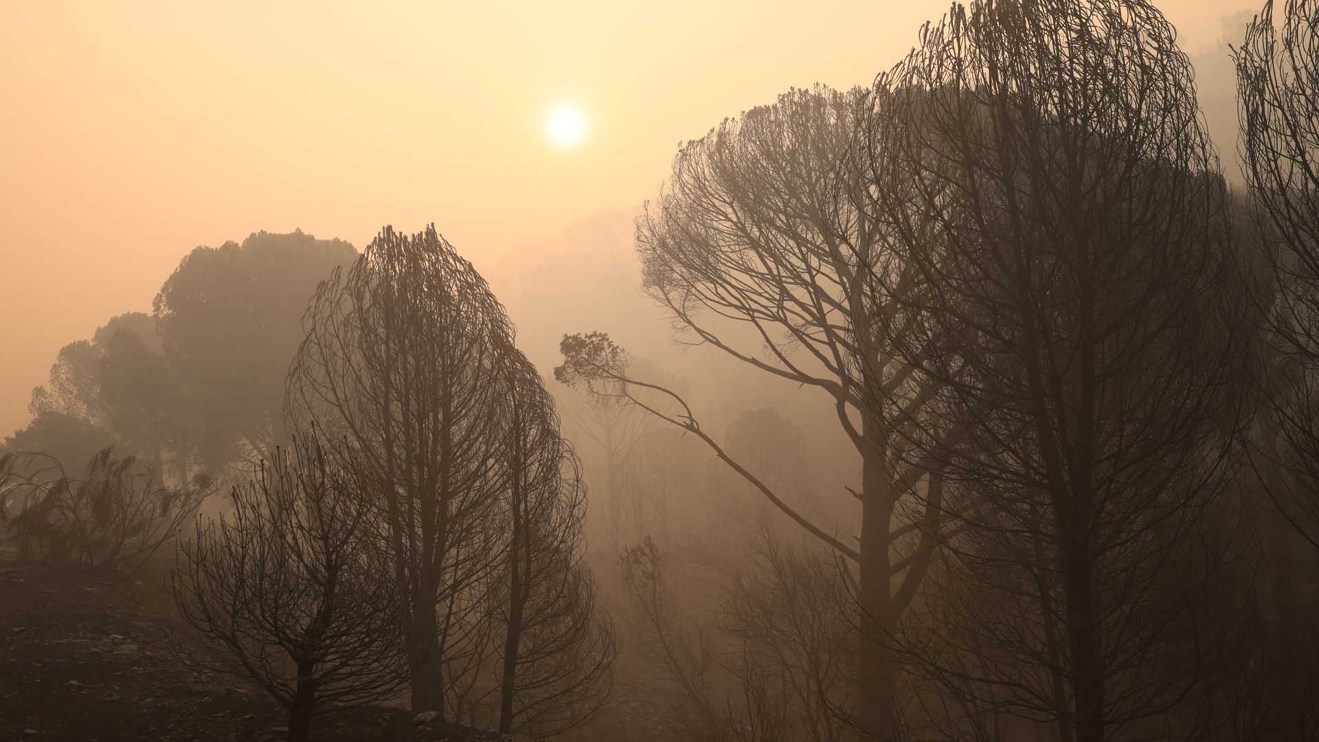 Vista del humo del incendio forestal, a 27 de julio de 2026, en Navas del Rey, Madrid