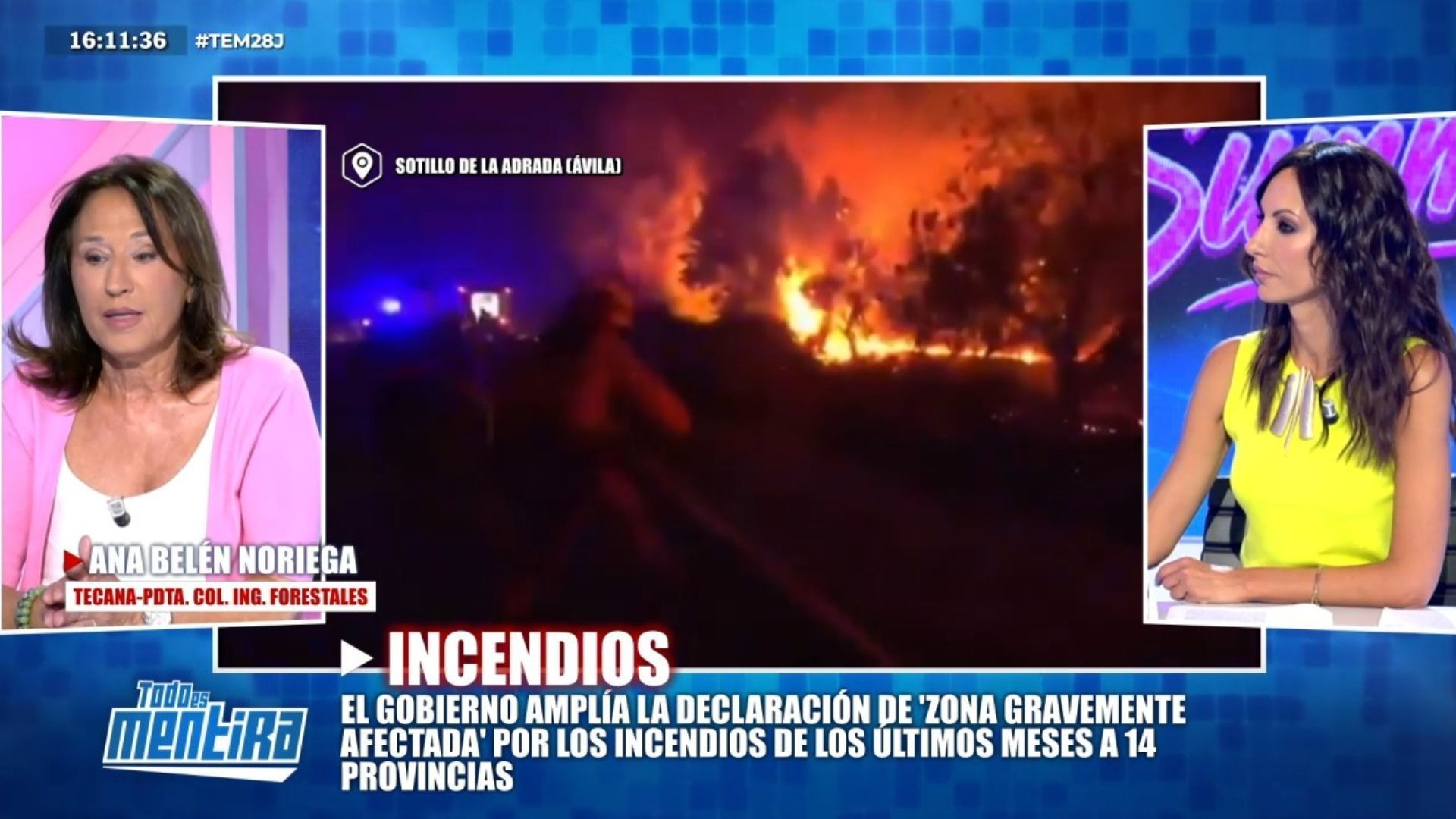 Ana Belén, presidenta del Colegio de Ingenieros Forestales, advierte del elevado riesgo que afronta España por el cambio climático: "Estábamos en una situación vulnerable"