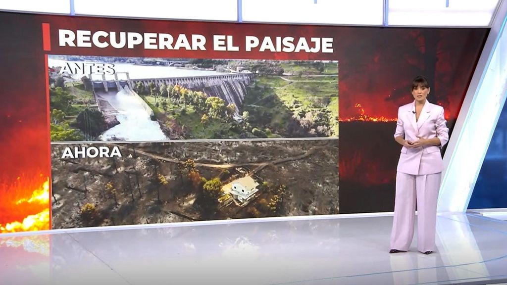 El antes y el después del Embalse de Burguillo, en Ávila, tras el paso de las llamas: un paisaje repleto de los esqueletos de los árboles quemados