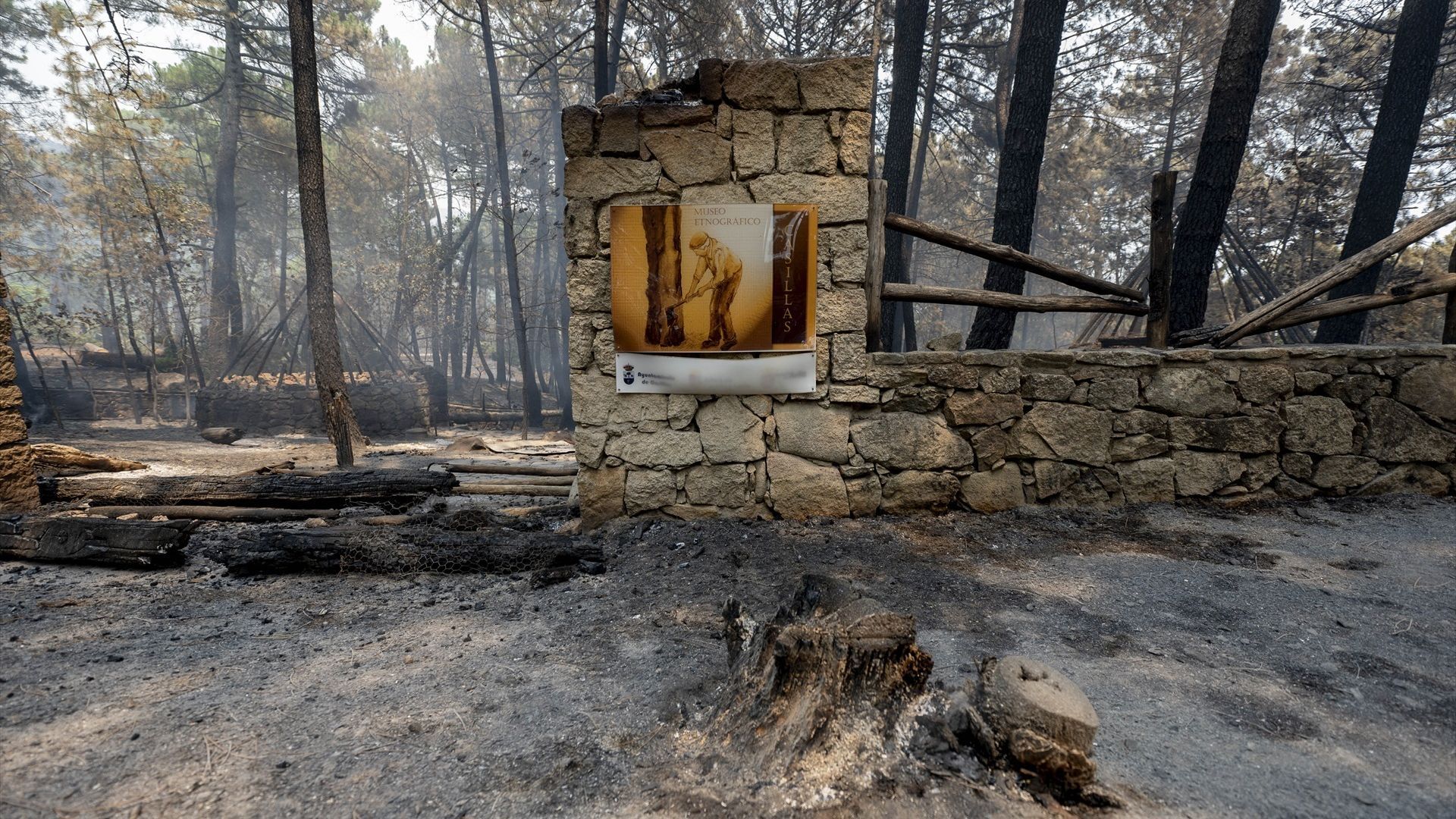 El incendio forestal de Burgohondo (Ávila)
