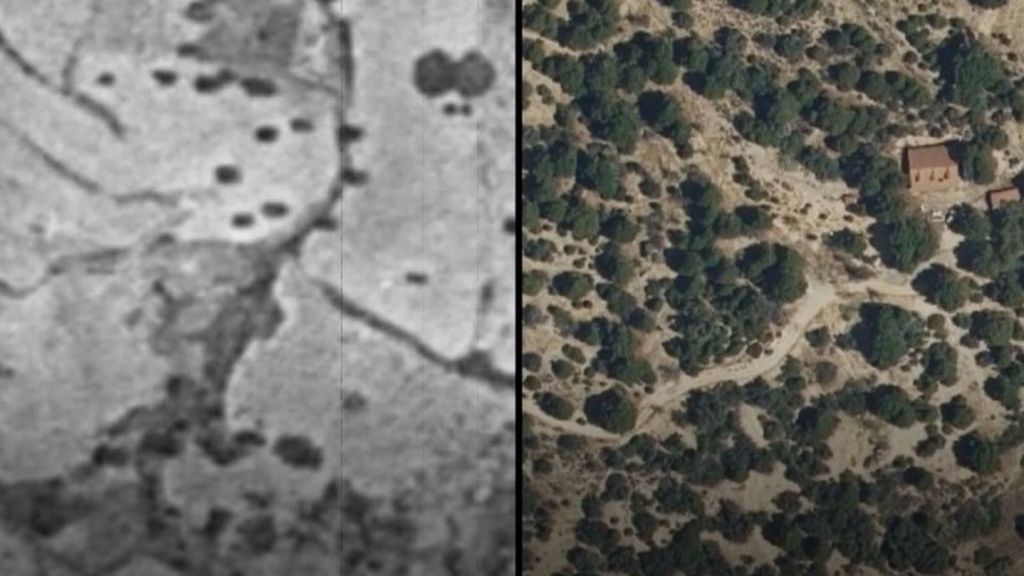 Lo que hay que hacer ya para plantar cara a los megaincendios: de la ganadería extensiva a la tecnología y paisajes en mosaico