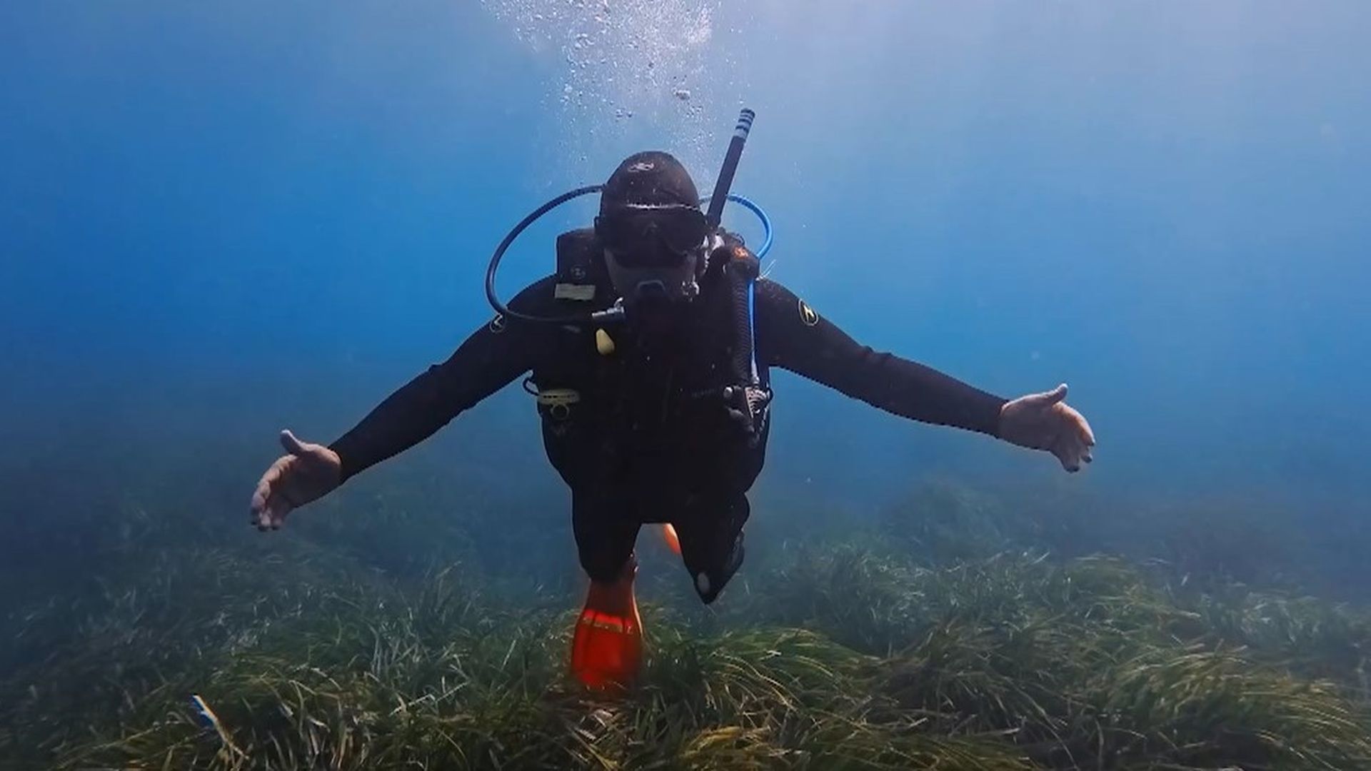 buceo