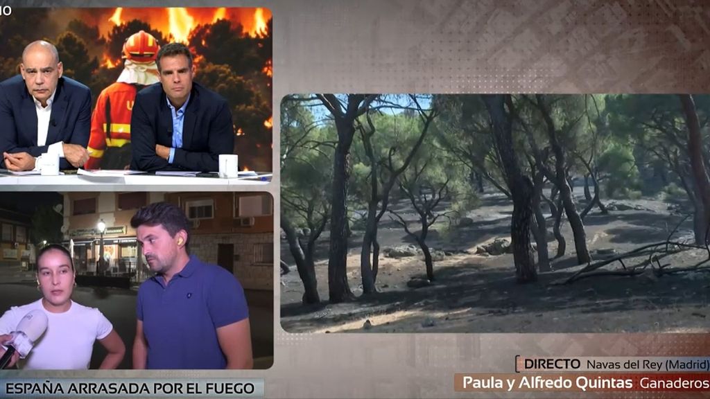 Paula y Alfredo, ganaderos de Navas del Rey, hablan de la ruina que se les viene encima tras perderlo todo: “Tenemos que valorar si merece la pena seguir”