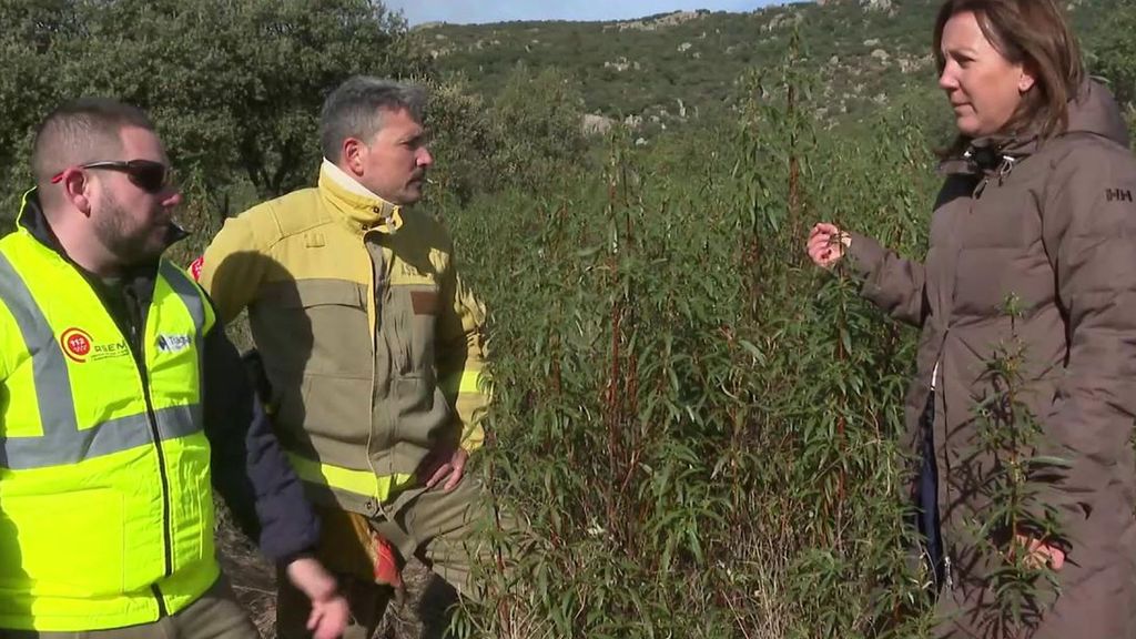 El combustible vegetal, el origen de los incendios catastróficos en España: "Un monte descuidado es lo mismo que litros de gasolina"