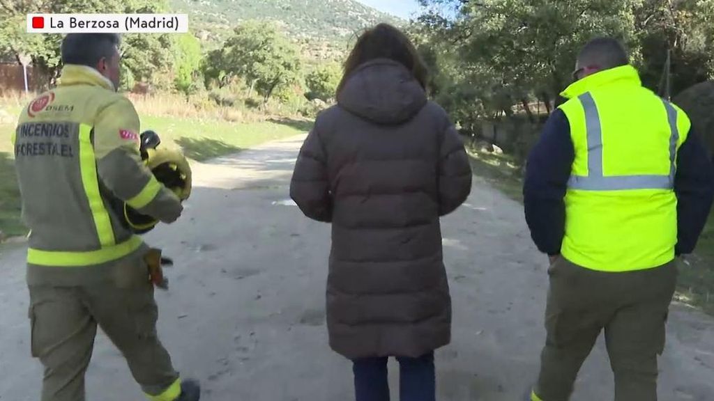 Los bomberos forestales ya alertaron hace siete meses del estado de los bosques: "Si esto arde no me meto"
