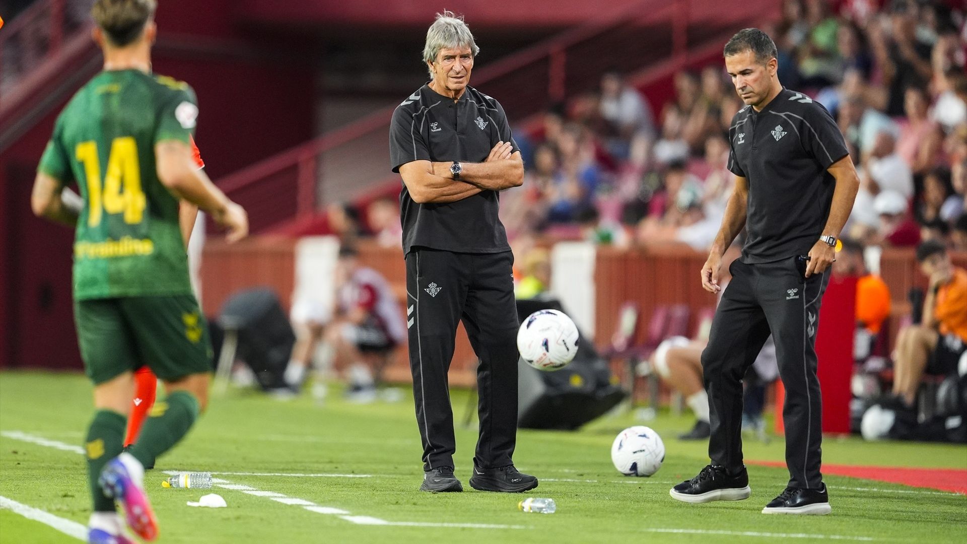 Manuel Pellegrini, en el Granada - Betis